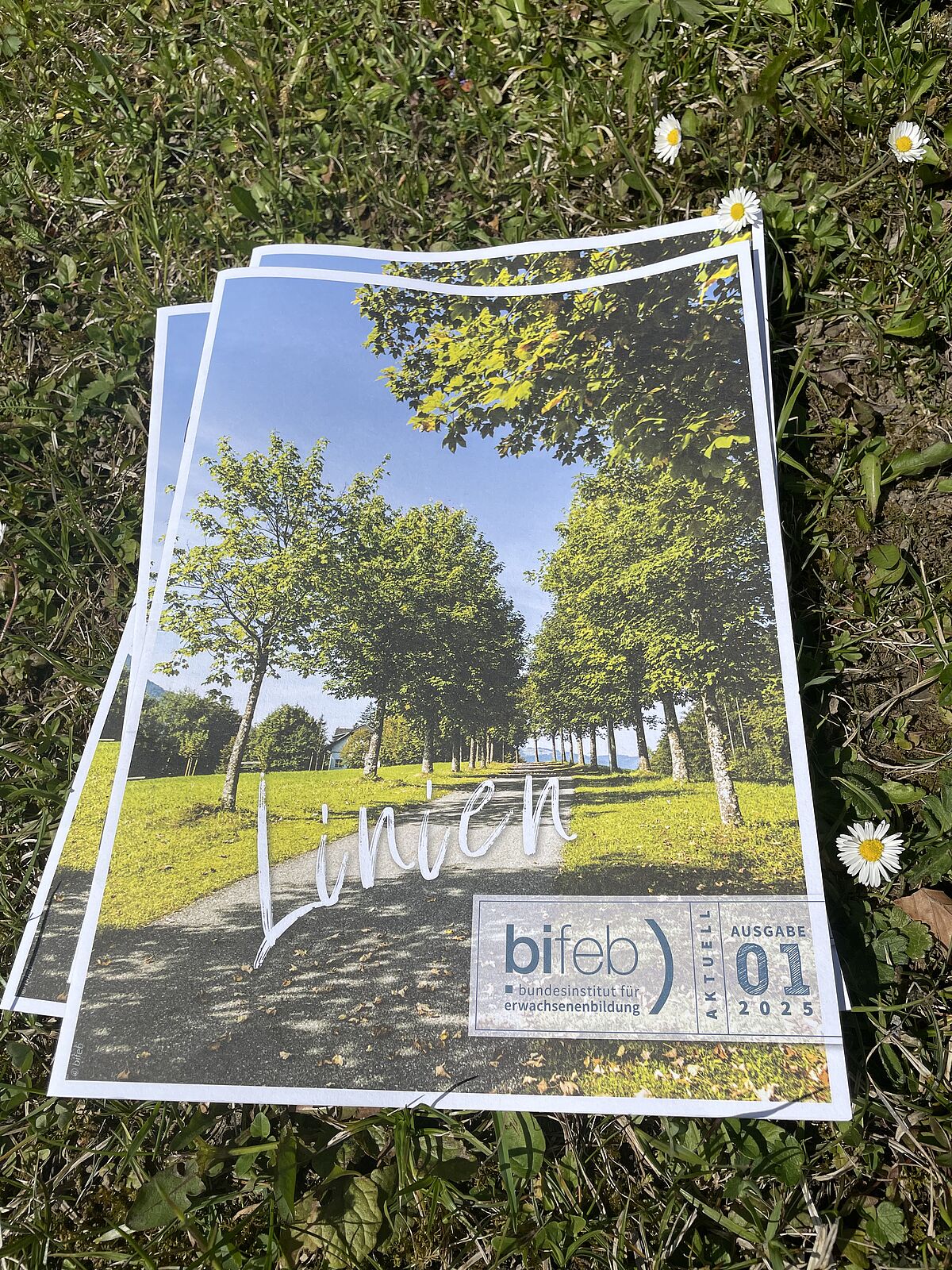 bifeb aktuell Zeitschrift 02/24