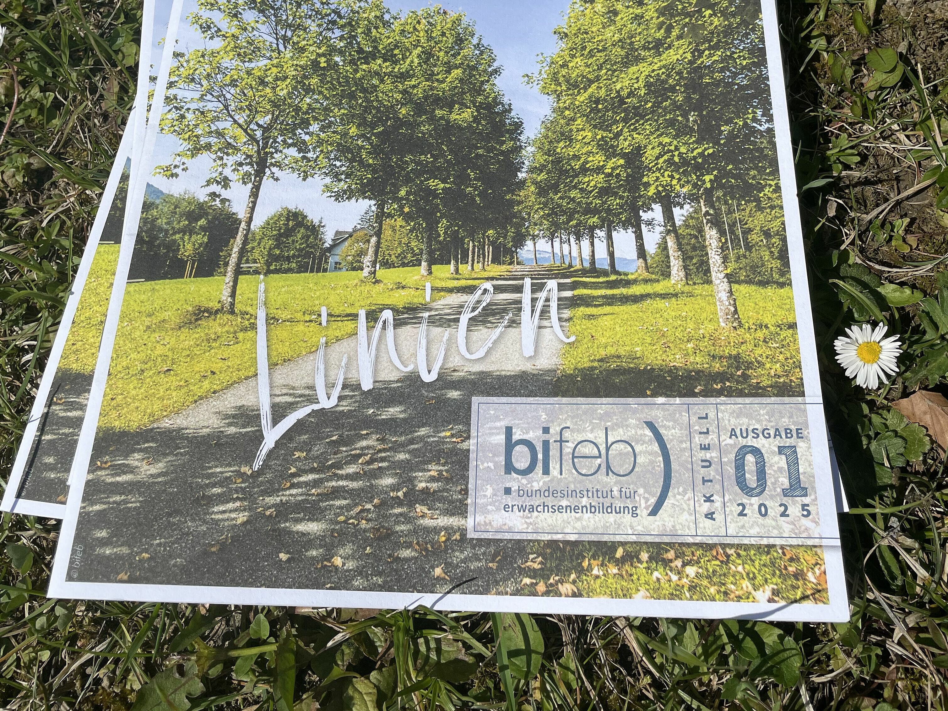 © bifeb bifeb aktuell Zeitschrift 01/25