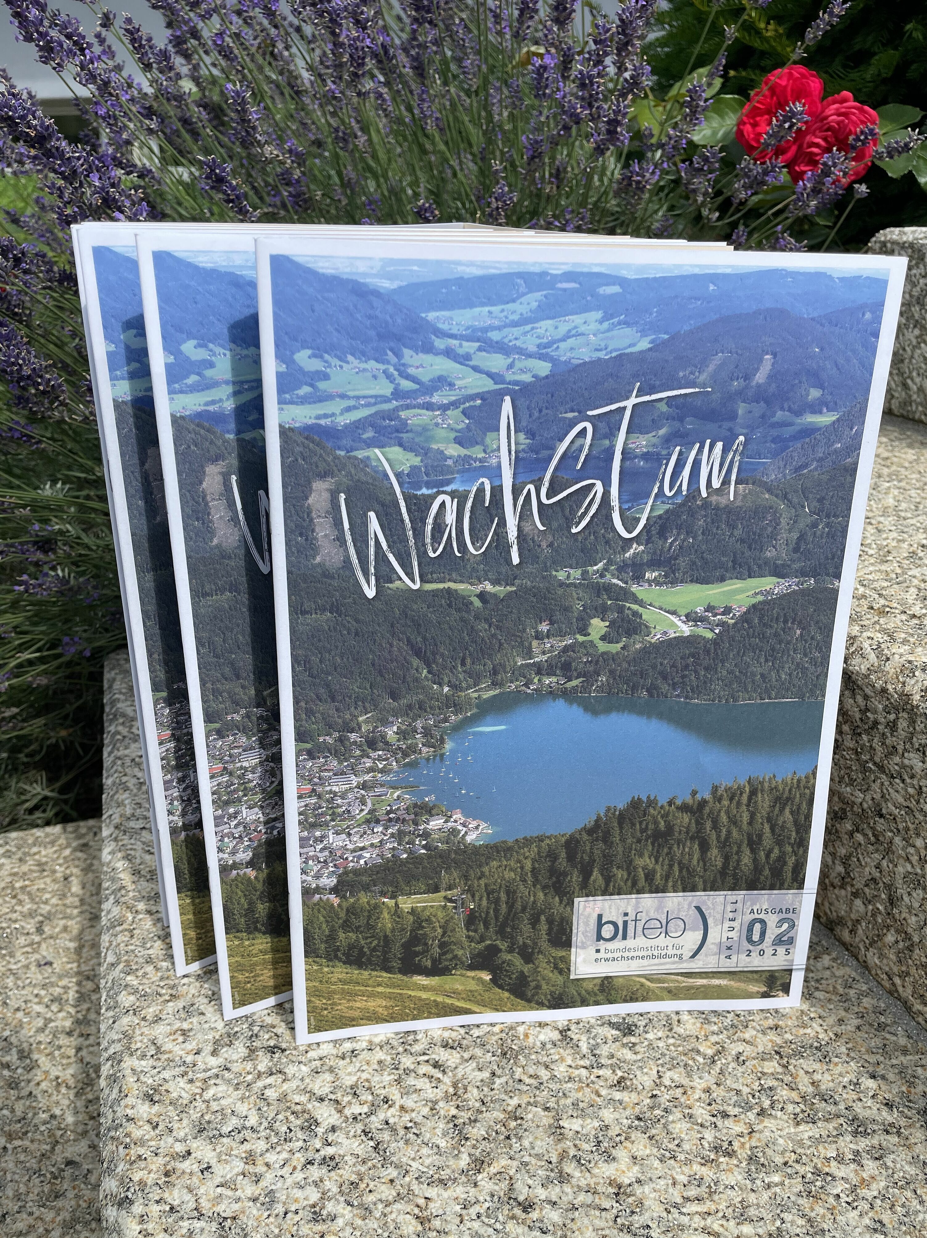 © bifeb bifeb aktuell Zeitschrift 01/25