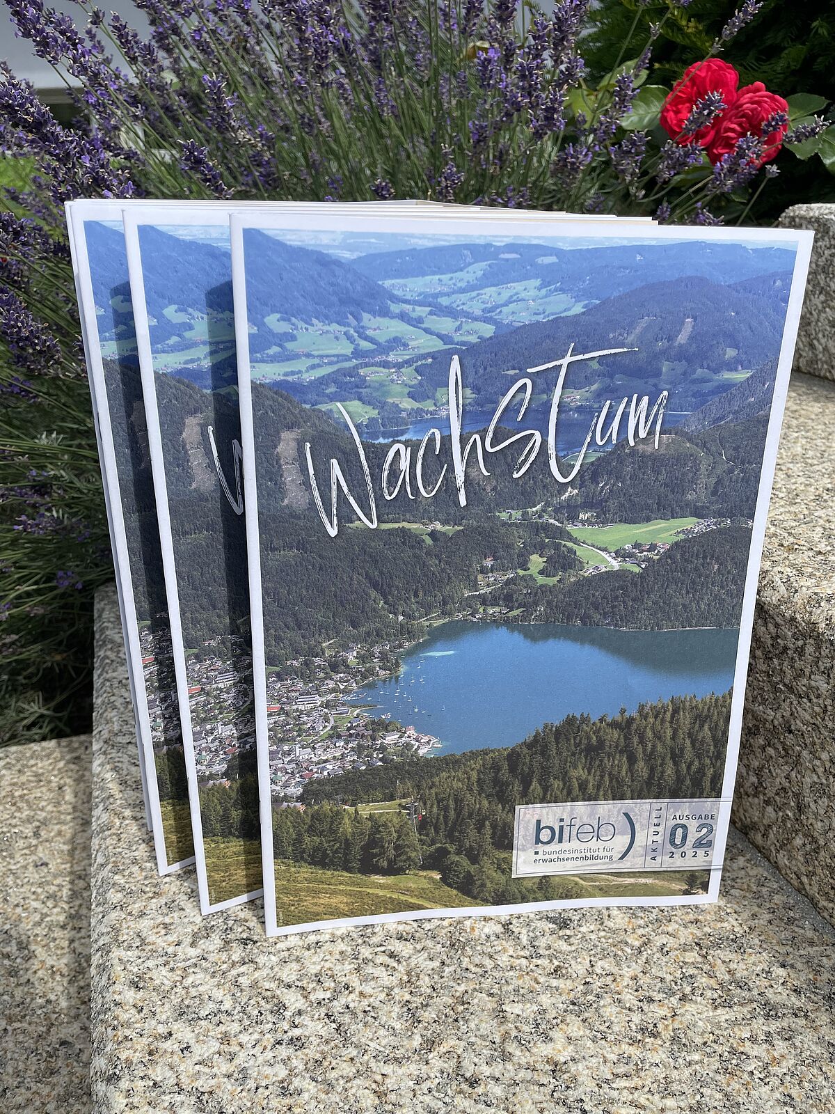 bifeb aktuell Zeitschrift 02/24
