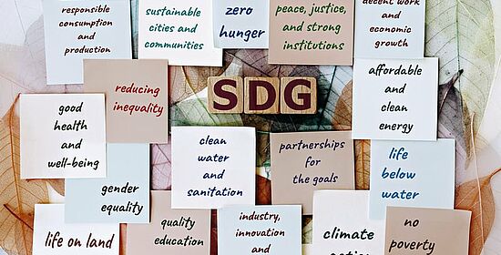 Foto mit Holzblöscken in der Mitte mit der Aufschrift "SDG", im Umkreis Klebezettel mit Texten wie "zero hunger" oder "reduce inequality"