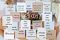 Foto mit Holzblöscken in der Mitte mit der Aufschrift "SDG", im Umkreis Klebezettel mit Texten wie "zero hunger" oder "reduce inequality"