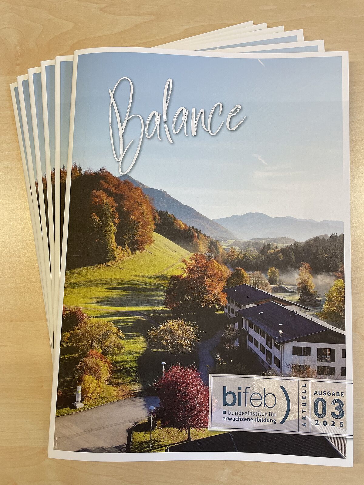 bifeb aktuell Zeitschrift 03/25