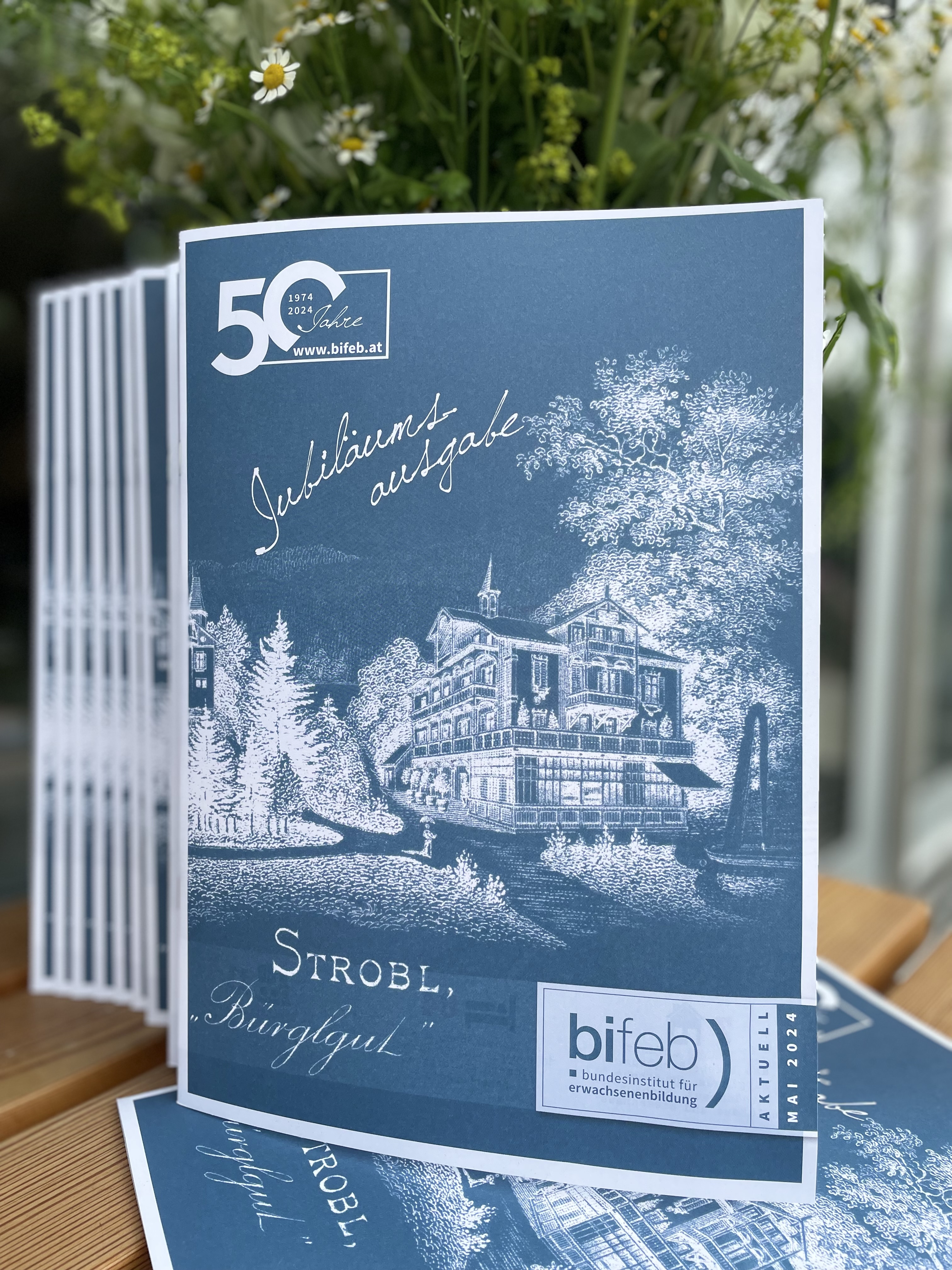 bifeb aktuell Zeitschrift Sonderausgabe 50 Jahre